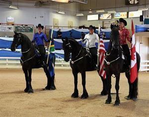 Friesians Carrying Team Flags (Rachel Kelley)