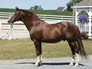 Gold Luck at 19-years-old (Photo: Courtesy Rolling Stone Farm)