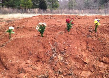 Gravesite where Kristen Becker's beloved eqiones are buried. 