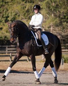 Jennifer Baumert and Marydell Farm’s Hanoverian Stallion Don Principe (1999 by Donnerhall out of SPS daughter of Prince Thatch xx) schooling at the training location for Cloverlea Farm at Cross Creek Farm in Columbus, North Carolina. Credit: Pat Girard Photography