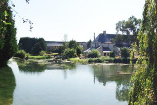 Haras du Ry (Photo Courtesy of Amy Graham)