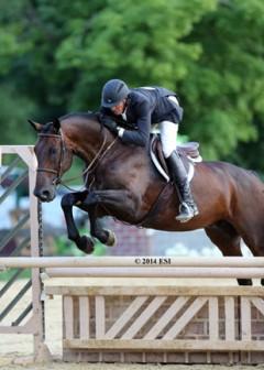 Harold Chopping and Caramo pocketed another &dollar;5,000 Devoucoux Hunter Prix win on Sunday at HITS Culpeper. &copy;ESI Photography