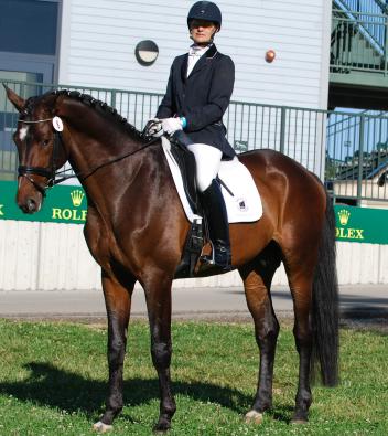 Wearing his High Point Back on Track Saddle pad presented by Markel's and DressageDaily's Mary Phelps Hemmingway the Oldenburg stallion by Hofrat/Gribaldi x SPS Alsonara/Archipel high point CDI Young Horse at the KDA Spring Show 2014 (Photo:Theresa Schnell)