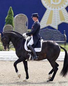Carl Hester and the Metall sired stallion Uthopia