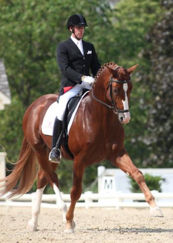 Christopher Hickey (Colora, MD) and Qredit Hilltop (Quarterback-Dream Rubina by Dream of Glory)