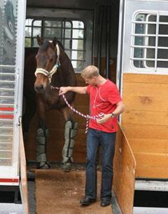 The European horses arrive at Jim Brandon Center.