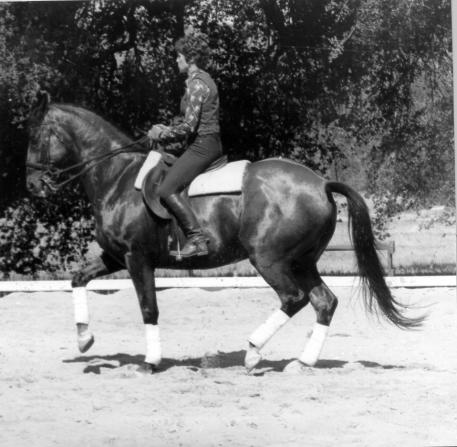 Sandy Howard and Bull Market in 1982. Photo: Sandra Gardner