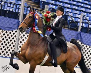 Hunter Chancellor, winner of the 2012 USEF Saddle Seat Medal Final, riding Imagine My Surprise (Howard Schatzberg)