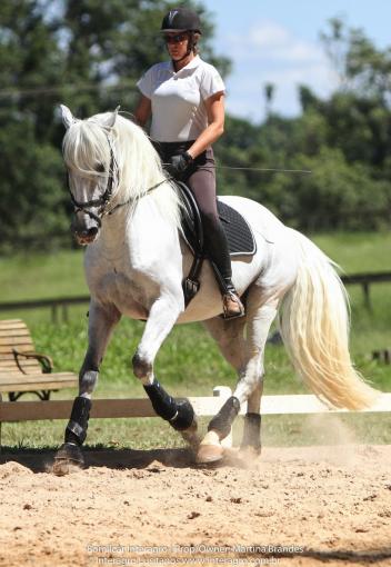 Martina Brandes and Bomlicar Interagro. (Photo: courtesy of Interagro Lusitanos)