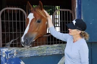 Cari Swanson and RJ - The horse that brought them together.