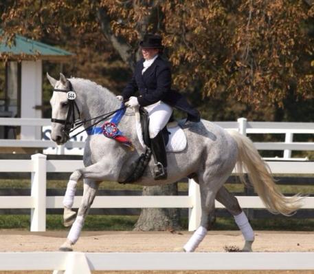 Korin Rinaldo on Forrest Hill Farm bred "Forest"(By Cottonwood Flame) Image: Photo: Jennifer Kaiser