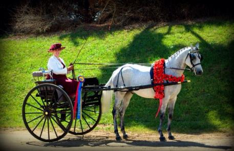 Amanda Compton and Louie Louie (Photo Courtesy of Sara Hazard)