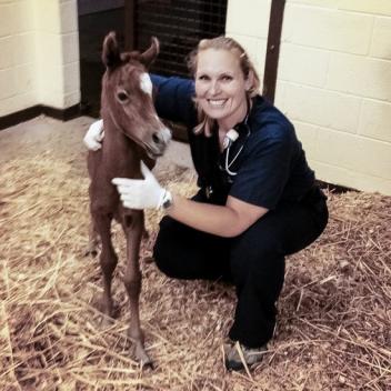 Amanda Compton with a patient at the Equine Medical Center (Photo Courtesy of Amanda Compton)