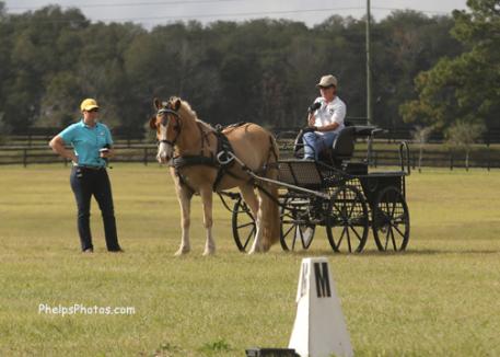 US Individual World Pony Driving Gold Medalist Suzy Stafford  works with Charlotte Trentleman