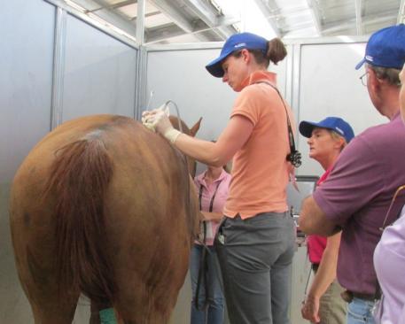 Hands on ultrasound guided injections to relieve back pain.