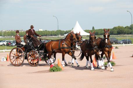 Cones Course to offer same footing as dressage and cross country