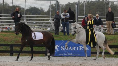International rider and trainer Cherri Reiber performed a tandem driving demonstration with Zerbino Interagro and Vistor Interagro at the “World Of The Horse Spectacular” for Galopando TV. 