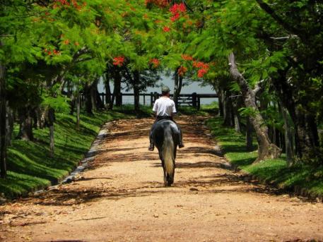 Interagro Lusitanos of Brazil is opening their doors and inviting guests to enjoy the farm’s horses, history, and unique equestrian culture. (Photo: Interagro Lusitanos)