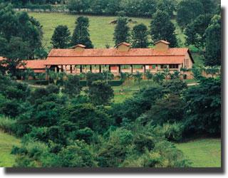 Interagro Lusitanos beautiful Brazilian Paradise