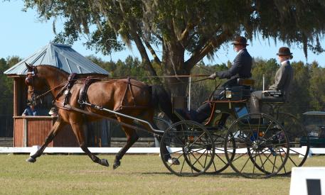 Jacob Arnold (Photo Courtesy of Live Oak Combined Driving Inc.)