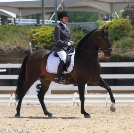 Jane Ann Lake and Tecolate in the USDF Freestyle Test of Choice 