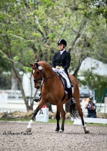 Jennifer Marchand riding Tokyo, 13 yr old, showing Intermediare II, owned by Renee Isler Photo: www.sharonpacker.com