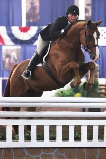 Jennifer Alfano and Jersey Boy took led the Working Hunter division sweeping the over fences for the opening day of the 67th Buffalo International Horse Show. Photo By: Kendall Bierer/Phelps Media Group. 