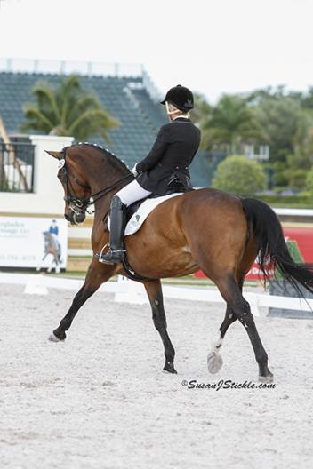 Judy Sloan and Donna Classica – Grand Prix mare age 14 by Donnerhall  Photo: SusanJStickle