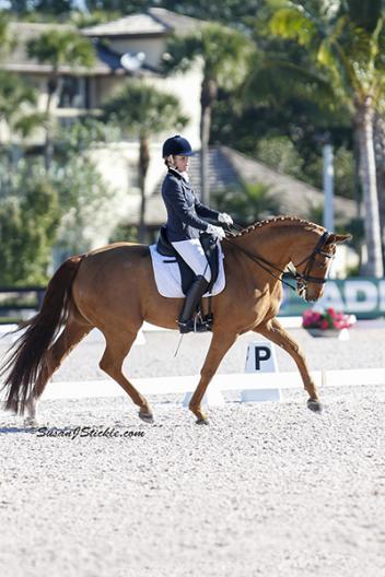 Judy Sloan rides Rusty 223 by Rubenstein, (Age14) at the Global Dressage Festival as an Amateur Photo; SusanJStickle 