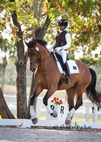 Karensa Muller riding  Linda Raschke’s six year old LBR Celtic (Tuschinski x Jazz) Photo: www.sharonpacker.com