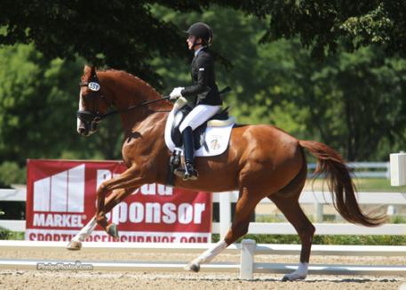 Jane Karol (Concord, MA) and her own Sunshine Tour (Sir Donnerhall x History/Alabaster)