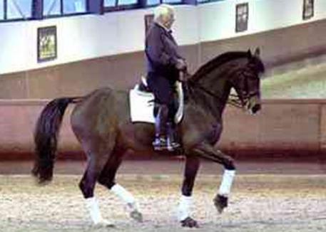 Ullrich Kasselmann on Legolas at home in Hagen, Germany 