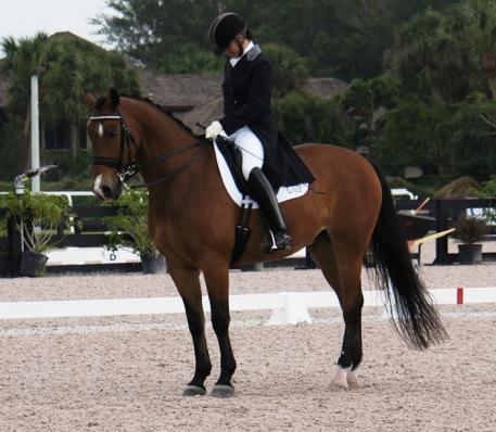 Katlyn (Katie) Kok riding Morgan Enshoj at the Adequan Global Dressage Festival USPRE Show in the Young Rider division