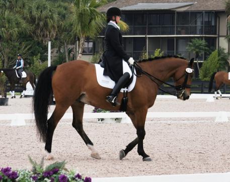 Katlyn (Katie) Kok riding Morgan Enshoj at the Adequan Global Dressage Festival USPRE Show in the Young Rider division