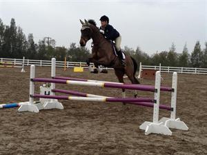  Katy Groesbeck and Oz the Tin Man at the California winter training session (USEF Archives)