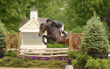 Scripted and Kelley Farmer won the model, the over fences and the handy round in the Green/Regular Confomation Hunters at Spring Spectacular III. Photo By: Andrew Ryback Photography