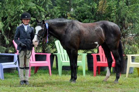 Text Me Later won the Green Pony Hunter Division Championship with Laura Neely. Flashpoint Photography