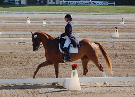 Laurie Moore and Winnetou will compete in the Intermediare I US Dressage Finals Photo: Gabrielle Keb