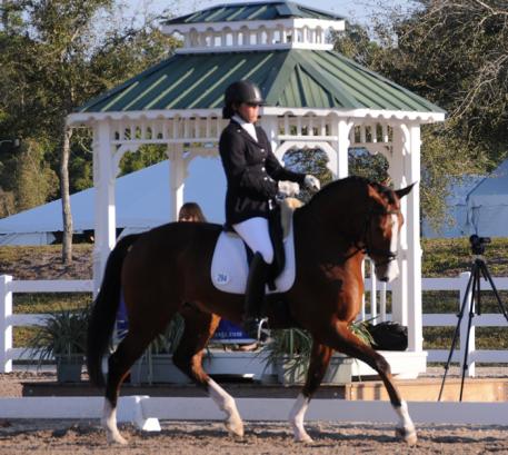 Leslie Eden, riding Lets Dance, a 6 yrs. old gelding working towards the Young Horse Program  Photo:Lynn Eden Deer