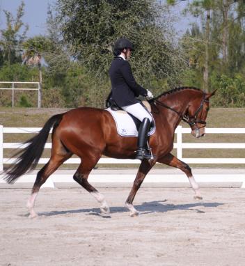 Lesley Eden and Let's Dance win Third Level Test 3 at the 2013 World Dressage Masters Photo:Lynn Eden Deer