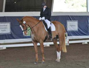 Beth Levine and Prince Hopeful salute the judges at the 2011 Dressage Affaire CPEDI3*