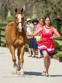 Lillian Heard and Share Option (Shannon Brinkman)