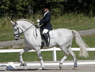 Maria Lithander and Idolo Americano finished in second. Photos © 2010 Lauren Fisher/PMG
