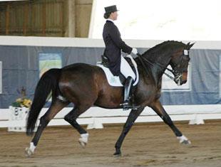 Adrienne Lyle on the Hannoverian Wizard owned by Peggy Thomas placed second in the Grand Prix with a 68.2134%.