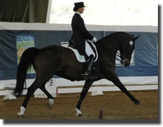 Adrienne Lyle and Wizard are ranked 2nd coming into the Festival of Champions.