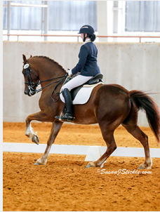 Allison Cyprus and Madoc Gareth are aiming for the top! 