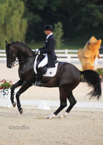 David Marcus and Don Kontes at the Kentucky Dressage Association Competition Hosts First CDI*** 2012 Photo: PhelpsPhotos