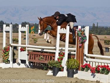 Marisa Metzger and Maillisco are too tough to beat in the ,500 USHJA National Hunte Derby Photo: Sheri Scott 