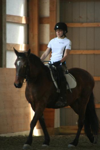 Mary Husty, an incomplete paraplegic from a diving accident, shows her focus and form partnered with Mabel.