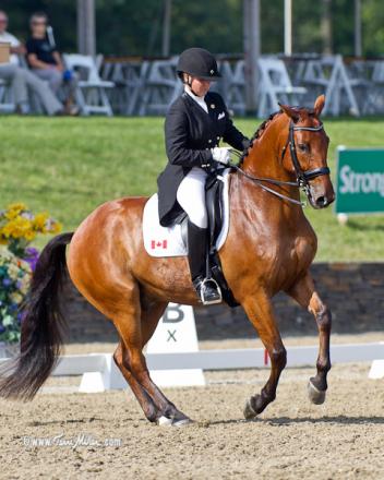 The Intermediate Freestyle was won by another Canadian – Maya Markowski riding Lumiere to a score of 71.875.  Photo: TerriMiller.com